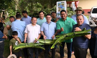 Prefeito David Almeida realiza ação do Manaus + Agro em ramal da Cooperativa na BR-174