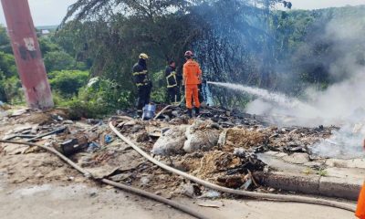 Em ação rápida, bombeiros evitam propagação de incêndio para área de mata no Distrito Industrial