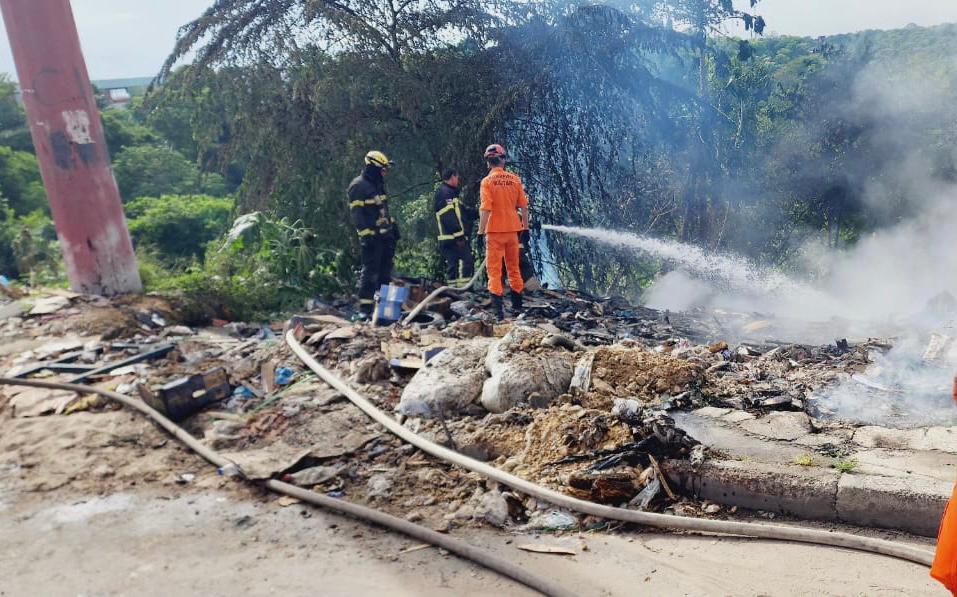 Em ação rápida, bombeiros evitam propagação de incêndio para área de mata no Distrito Industrial