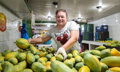 Programa Estadual de Combate ao Desperdício e à Perda de Alimentos arrecadou mais de 350 toneladas em 2023