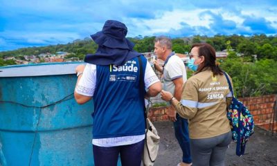 Prefeitura atualiza cenário de arboviroses na capital com novo informe epidemiológico