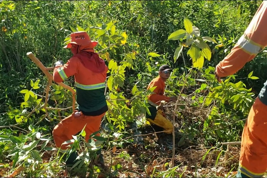 Semulsp, da Prefeitura de Manaus, realiza serviço de poda e limpeza no igarapé da avenida do Samba