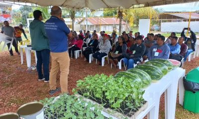 Em Benjamin Constant, agricultores participam de curso de produção de melancia