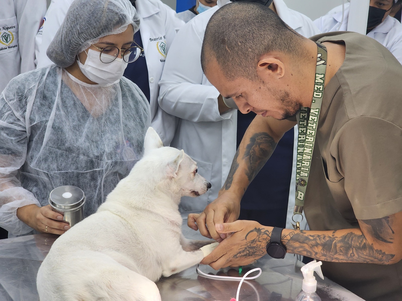 Julho Dourado alerta para importância da vacinação e check-ups veterinários dos pets